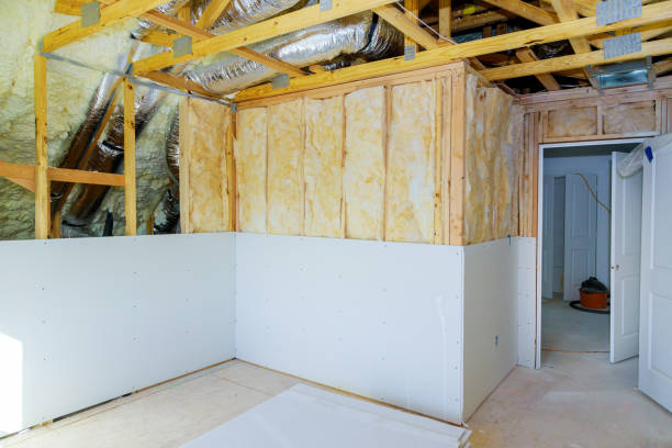 Best Insulation Maintenance and Repair in Bourg, LA